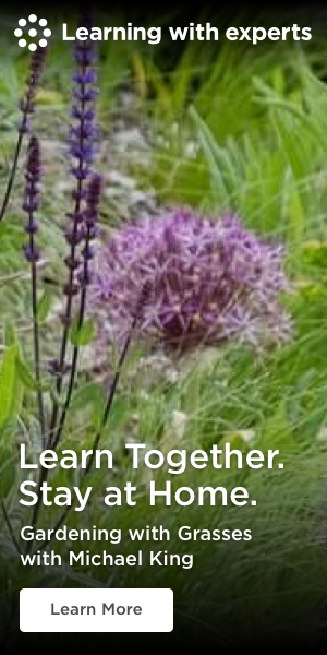 GRASS KING e-Books • Perennial Meadows