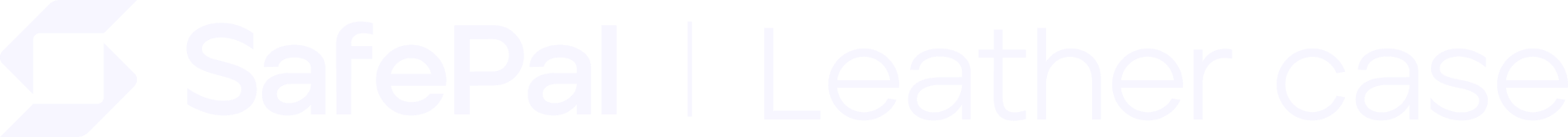 SafePal Leather Case