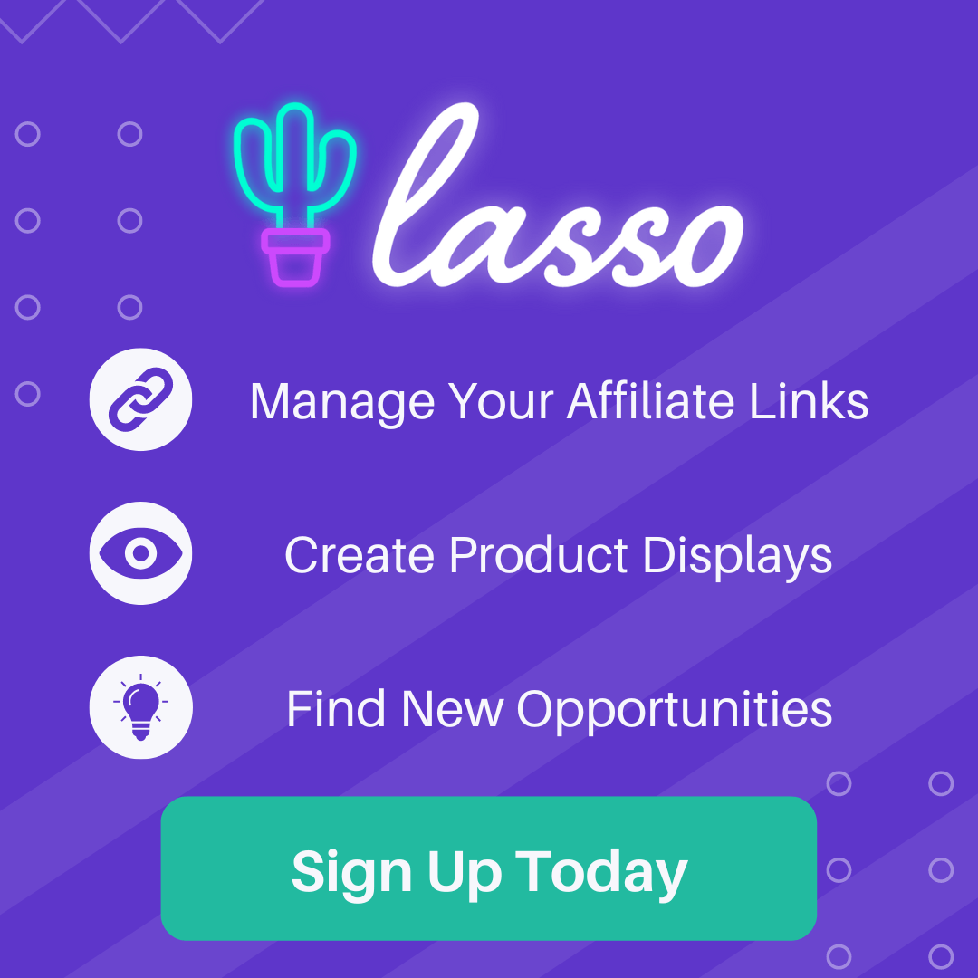 Lasso Affiliate- The Wordpress Affiliate Plugin To Maximize Your Earnings 3 Lasso - The WordPress Affiliate Plugin