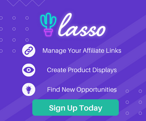 Lasso Affiliate- The Wordpress Affiliate Plugin To Maximize Your Earnings 2 Lasso - The WordPress Affiliate Plugin
